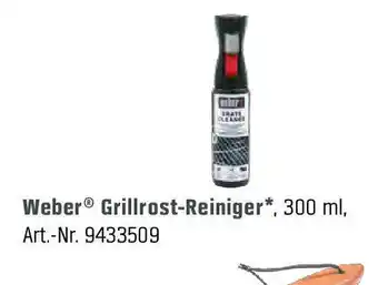 OBI Weber Grillrost Reiniger 300ml Angebot