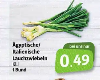 Markant Markt Ägyptische/ Italienische Lauchzwiebeln Angebot