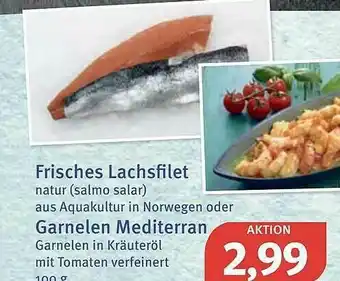 Feneberg Frisches Lachsfilet Oder Garnelen Mediterran Angebot