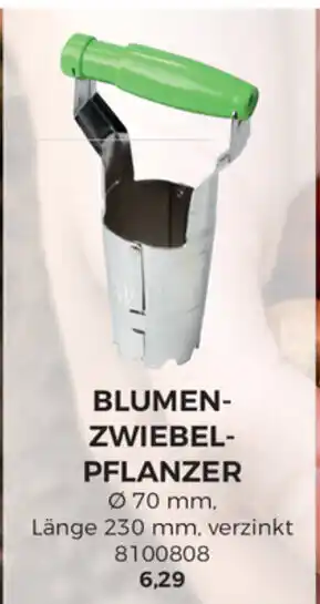 BBM Baumarkt Blumenzwiebel Pflanzer Angebot