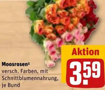 REWE Moosrosen Angebot