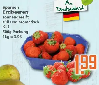 Klaas und Kock Spanien Erdbeeren 500g Angebot