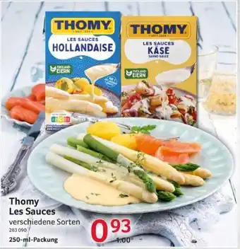 Selgros Thomy Les Sauces verschiedene Sorten 250-ml-Packung Angebot