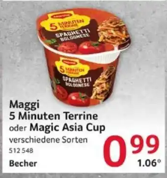 Selgros Maggi 5 Minuten Terrine oder Magic Asia Cup verschiedene Sorten Becher Angebot