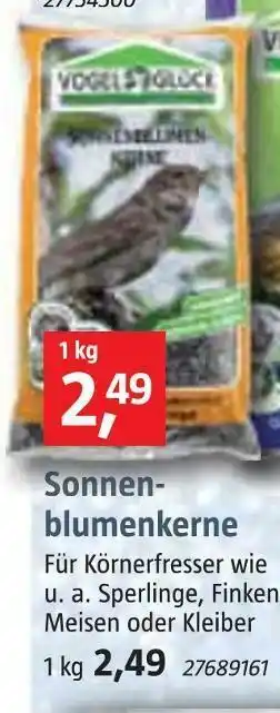 Bauhaus Sonnenblumenkerne Angebot