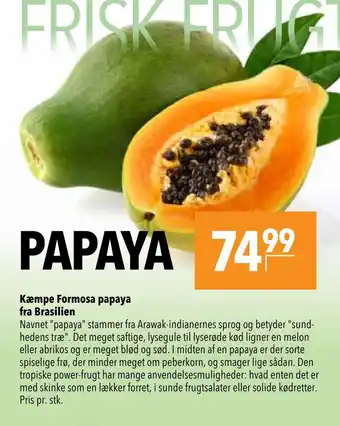 CITTI Markt Kæmpe Formosa papaya fra Brasilien Angebot