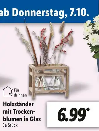 Lidl Holzständer mit trockenblumen in glas Angebot