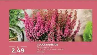 BBM Baumarkt Glockenheide Angebot