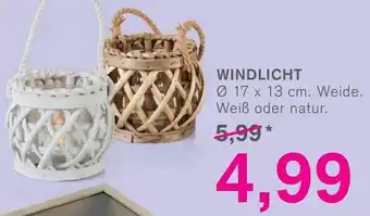 KODi Windlicht Angebot