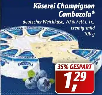 Simmel Käserei Champignon Cambozola 100g Angebot