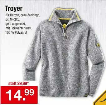 Zimmermann Troyer Angebot