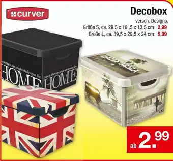 Zimmermann Curver decobox Angebot