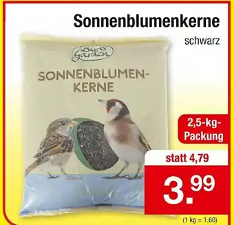 Zimmermann Sonnenblumenkerne Angebot