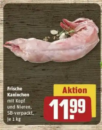 REWE Frische Kaninchen mit Kopf und Nieren, SB-verpackt, je 1 kg Angebot