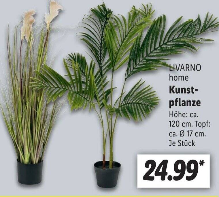 LIVARNO home Kunst- pflanze Angebot bei Lidl