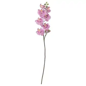 IKEA Smycka Kunstblume, Orchidee/rosa, 60 cm Angebot