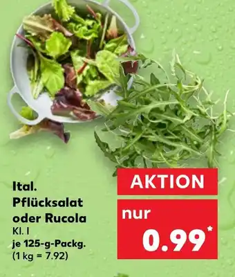 Kaufland Ital. Pflücksalat oder Rucola 125 g Packg. Angebot