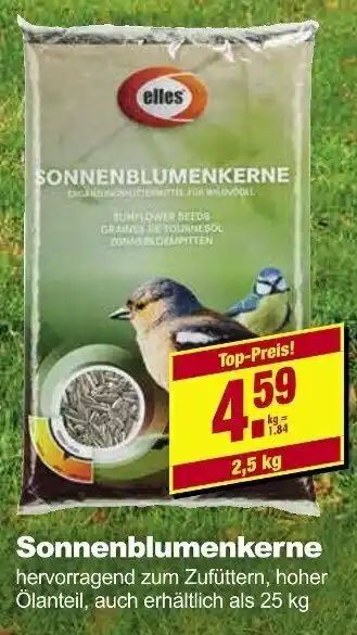 Leymann Baustoffe Sonnenblumenkerne Angebot