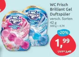 Budni WC Frisch Brilliant Gel Duftspüler 42g Angebot