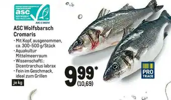 METRO Asc Wolfsbarsch Cromaris Angebot