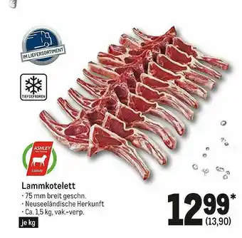 METRO Ashley Lammkotelett Angebot