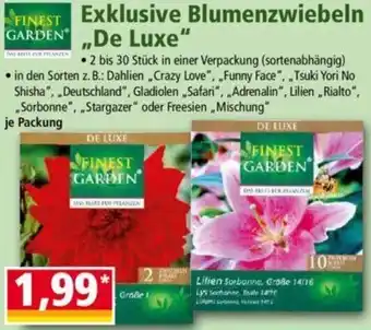 Norma FINEST GARDEN Exklusive Blumenzwiebeln ,,De Luxe" Angebot