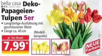 Norma bella casa Deko Papageien-Tulpen 5er Angebot