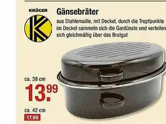 V Markt Gänsebräter Angebot