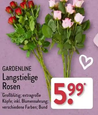 Aldi Nord GARDENLINE Langstielige Rosen Angebot