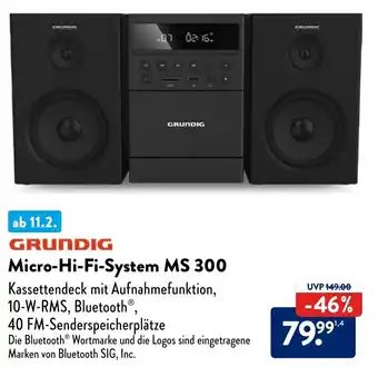 Aldi Nord GRUNDIG Micro-Hi-Fi-System MS 300 Angebot