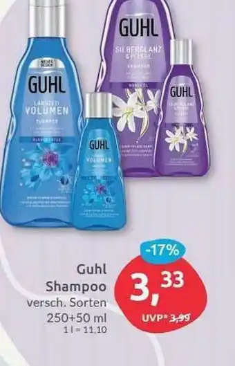 Budni Guhl Shampoo Angebot