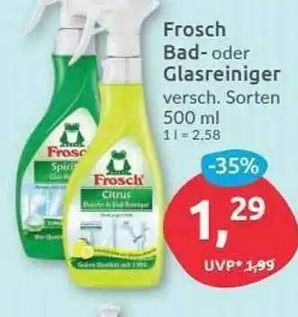 Budni Frosch Bad- Oder Glasreiniger Angebot