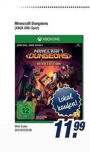 Expert Bening Minecraft Dungeons Angebot