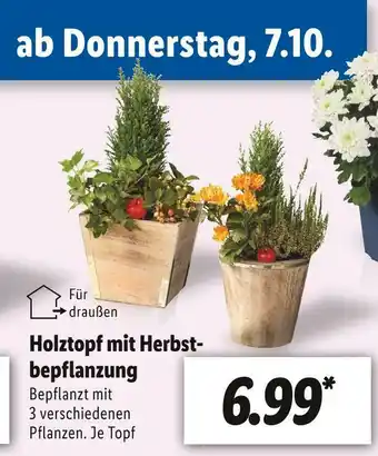 Lidl Holztopf mit herbstbepflanzung Angebot