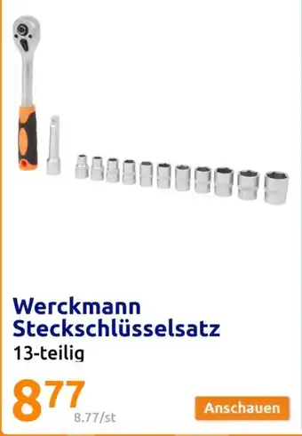 Action Werckmann Steckschlüsselsatz 13-teilig Angebot