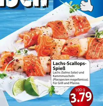 Famila Nord Ost Lachs-scallops-spieß Angebot