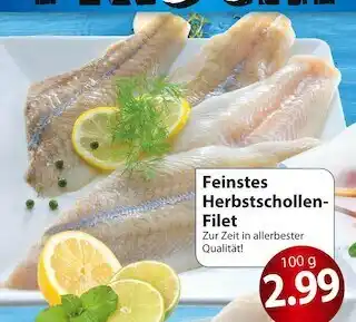 Famila Nord Ost Feinstes herbstschollen-filet Angebot