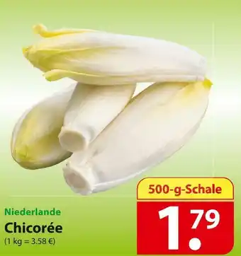 Famila Nord Ost Chicorée Angebot