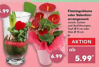 Kaufland Flamingoblume oder Valentinsarrangement Angebot