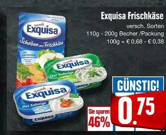 E-Center Exquisa frischkäse Angebot