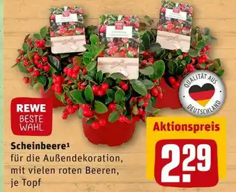 REWE Rewe beste wahl scheinbeere Angebot