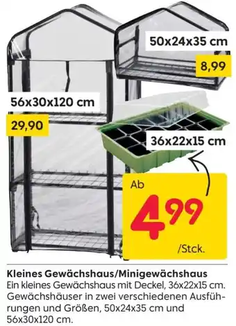 Rusta Kleines Gewächshaus/Minigewächshaus Angebot