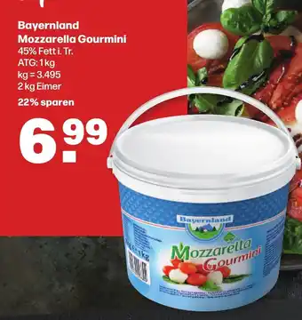 Handelshof Bayernland Mozzarella Gourmini 2kg Angebot