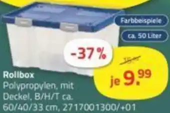 ROLLER Rollbox ca. 50 Liter Angebot