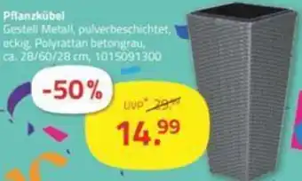 ROLLER Pflanzkübel Angebot