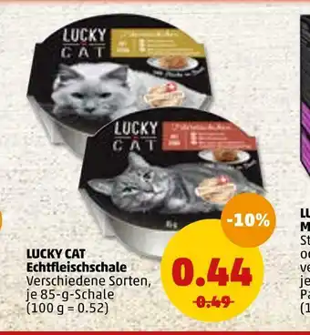 PENNY Lucky cat echtfleischschale Angebot