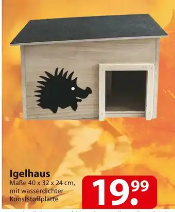 Famila Nord Ost Igelhaus Angebot