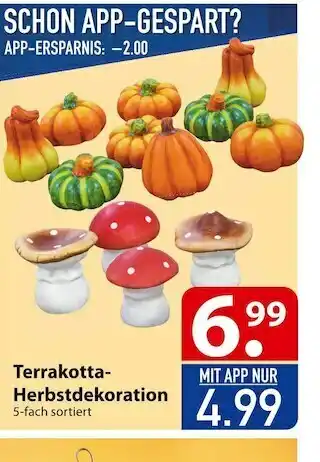 Famila Nord Ost Terrakotta-herbstdekoration Angebot