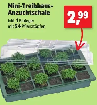 Thomas Philipps Mini-Treibhaus Anzuchtschale Angebot