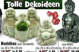 Wiglo Wunderland Buddhas Angebot